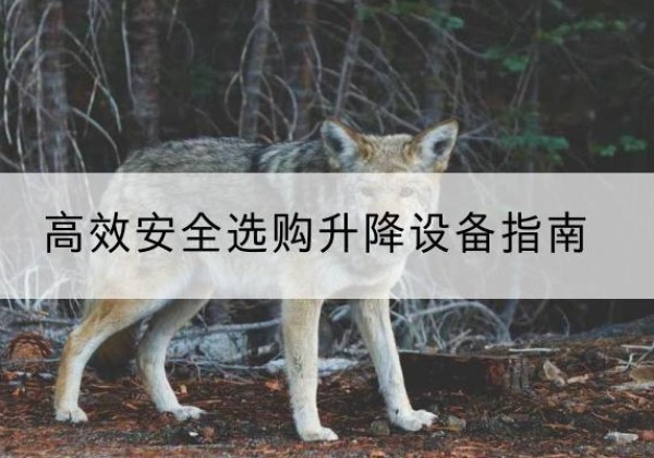 历下升降货梯厂家推荐-*安全选购升降设备指南