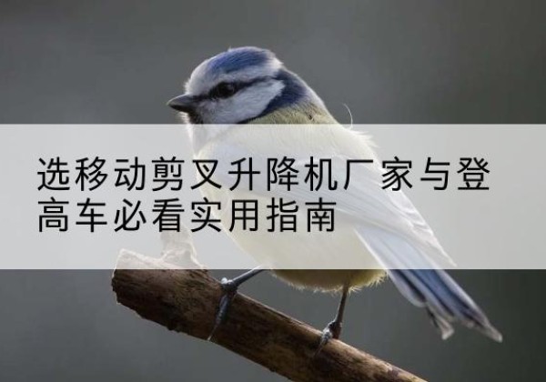 历下电动升降机厂家-选移动剪叉升降机厂家与登高车必看实用指南